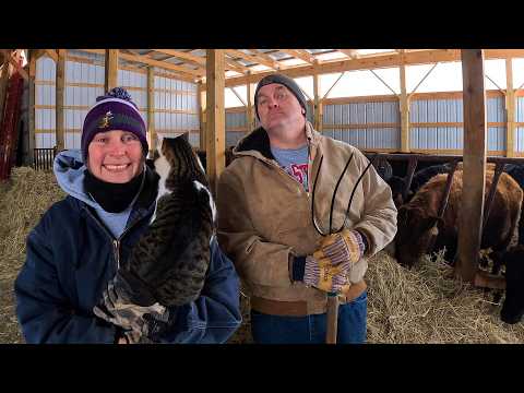 Back to the Funny Farm