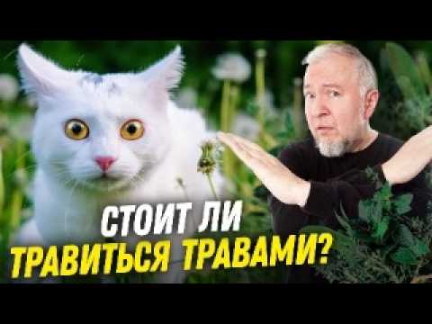Осторожно: лекарственные травы | Алексей Водовозов | Ученые против фитотерапии