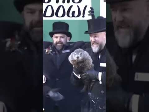Punxsutawney Phil makes Groundhog Day prediction