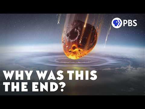 Why Wasn't There A Second Age of Reptiles?