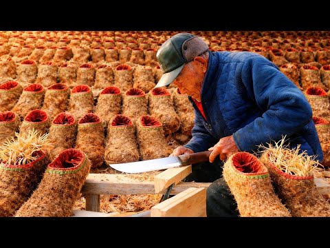 A 1,000-Year-Old Craft at Its End | The Last Straw Sandal Maker in China | handmade tradition