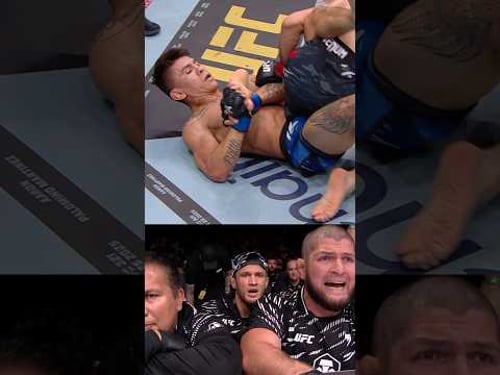 🦅 Для этой команды нет безвыходных положений!