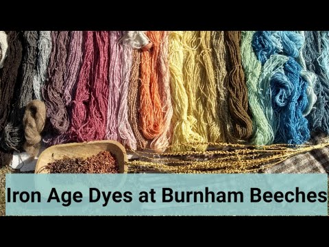 Iron Age Dyes: Woad, Weld & Madder