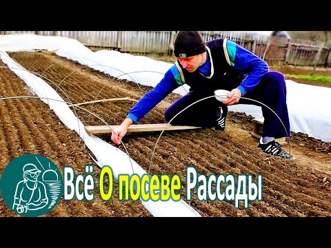 ☘ All About Sowing Seedlings by Technology Gordeev | Growing Seedlings in a Homemade Greenhouse
