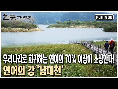 The Venice of the East! Yangyang, Gangwon Province, home to fresh green food from Namae Port, one...