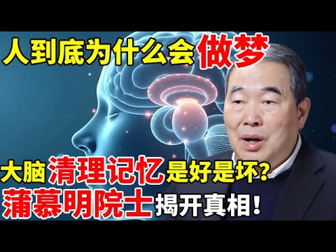 人为什么会做梦?做梦是大脑在清理记忆?做梦到底是好是坏?蒲慕明院士揭开真相【对话未来】