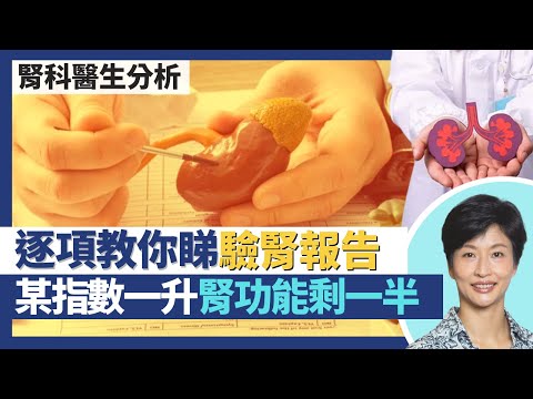 腎功能與護腎貼士|腎科醫生教你睇驗腎報告 某指數一升腎功能已剩一半?腎臟不只排毒 一半腎衰竭由糖尿病引起?護腎貼士:多飲水不一定好 身體檢查有腎毒性?|王建芳醫生 腎科醫生葉逸軒醫生|人類健康研究所