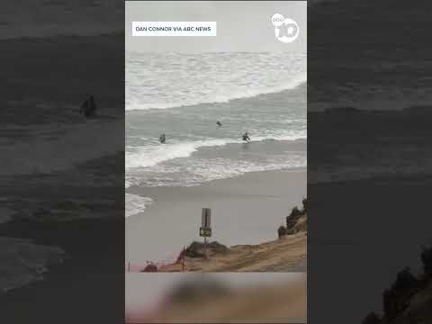Video of panga overturning at Torrey Pines State Beach