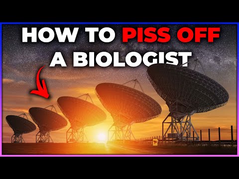 What The Hell Is Life? And How Do We Search For It?