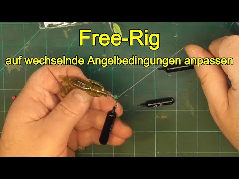 Adapt the free rig to changing fishing conditions. Plus underwater shots.
