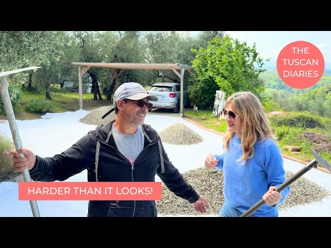 THIS REALLY NEEDS A MAKEOVER!