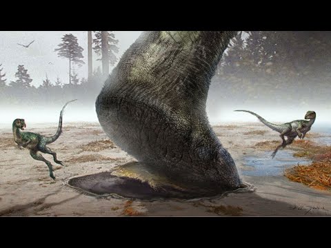 The Whale-Sized Dinosaur That Used To Roam America