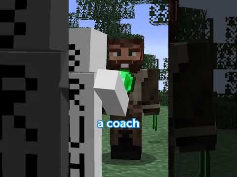 Minecraft YouTuber Climbed Mount Everest #minecraft