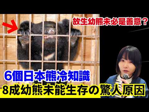 【 6個日本熊冷知識🚨】8成幼熊未能生存的驚人原因!放生幼熊未必是善意?熊到底有沒有冬眠?熊冬眠都唔會肌肉退化?熊界知識!中文字幕 #熊 #日本熊 #廣東話 #日本旅遊 #廣東話