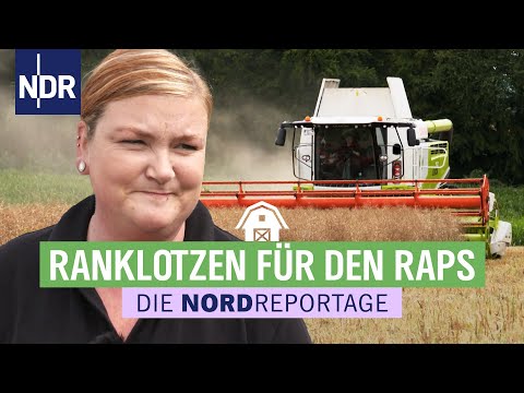 Der Erntestress ist riesig | Trecker, Typen, Erntezeit 1 | Die Nordreportage Folge 1 | NDR