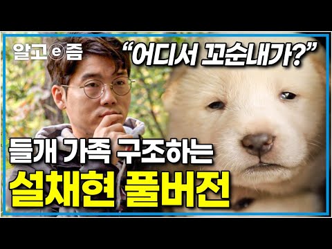 총 조회수 100만🎉 보는 이 모두를 긴장하게 만들었던 설쌤의 들개 가족 구조하는 현장 풀버전│세상에 나쁜 개는 없다│알고e즘
