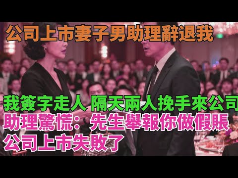 公司上市妻子男助理當眾辭退我,我冷靜簽字走人,隔天兩人挽手來公司時,助理驚慌:“先生舉報妳做假賬,公司上市失敗了”【清風與你】