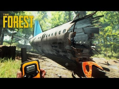 SURVIVE A PLANE CRASH!! (The Forest)