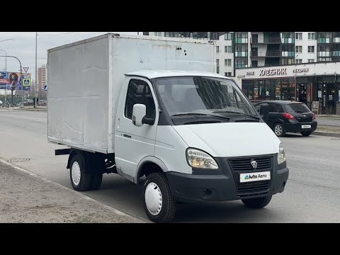 I BOUGHT 4 GAZELLES | HOW MUCH DID I EARN?!