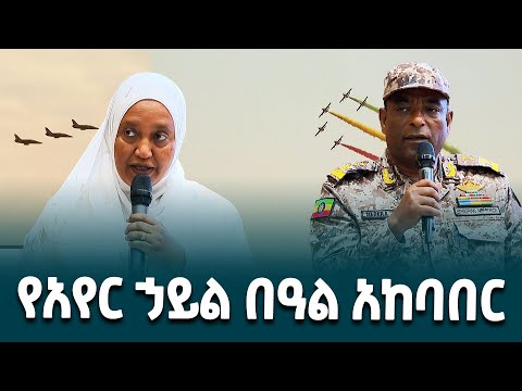 የኢትዮጵያ አየር ኃይል 90ኛ ዓመት የምስረታ በዓል ቀጣይ አከባበር በተመለከተ በአዲስ አበባ የተካሄደ መድረክ @ethiopiannewsagency
