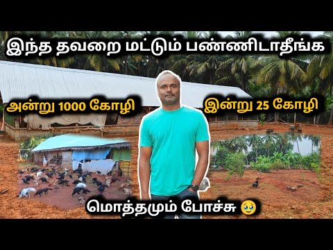 என்னுடைய 700 கோழி 🐓 இழந்துடன் || தயவு செய்து இதை பண்ணாதீங்க 🥹
