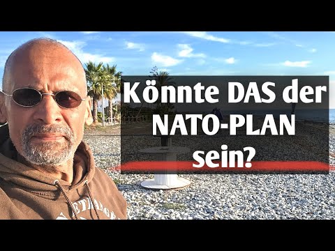 German soldiers in Ukraine?