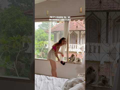 I loveee having monkey neighbors ๐ฅน๐๐