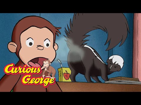What Are Nocturnal Animals? π΅ Curious George π΅ Kids Cartoon π΅ Kids Movies