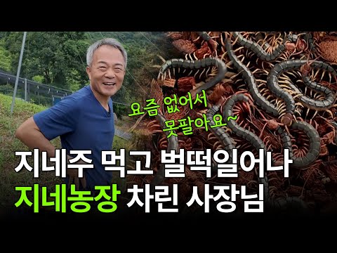 지네농장으로 대기업 부장연봉?ㅣ 휴먼스토리 ㅣ 직업의 모든것 ㅣ 돈버는사장님 ㅣ 자영업자이야기