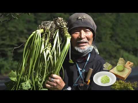 How Japanese Farmers Grow and Harvest Wasabi | Why Real Wasabi Is So Expensive