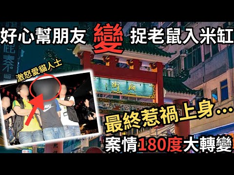 好心幫朋友變捉老鼠入米缸,最終惹禍上身,多隻貓下場悲慘… Z檔案/奇案調查@Zfivesir