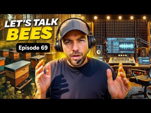 Black Mountain Honey: Let's Talk Bees with Laurence Edwards - Episode 69