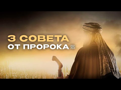 3 совета от Пророка ﷺ