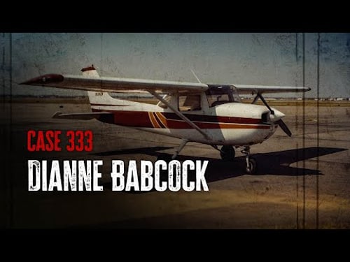 A Young Couple Vanishes Mid-flight