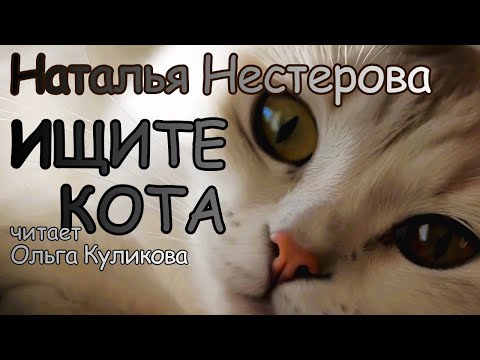 МУЖ ИЗМЕНИЛ С ЛУЧШЕЙ ПОДРУГОЙ. Наталья Нестерова "Ищите кота"/Аудиокнига+авторский отклик