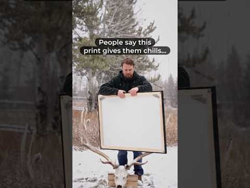 Prints for sale at: JakeDavis.tv/printshop #wildlife #wolves