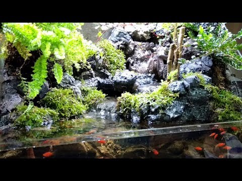 三層瀑布生態缸水族造景Aquarium