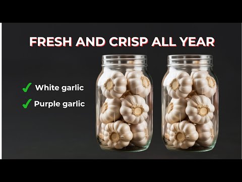 How To Store Garlic For A Whole Year Without Spoilage!