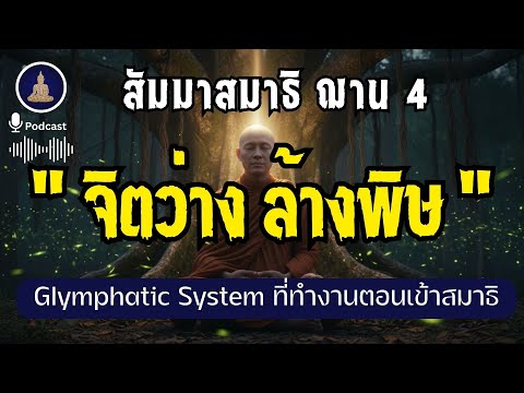 ทำไม "การเข้าฌาน" ถึง "Detox" สมองได้ลึกกว่าการนอน 8 ชั่วโมง? I #นะโมพุทธายะ