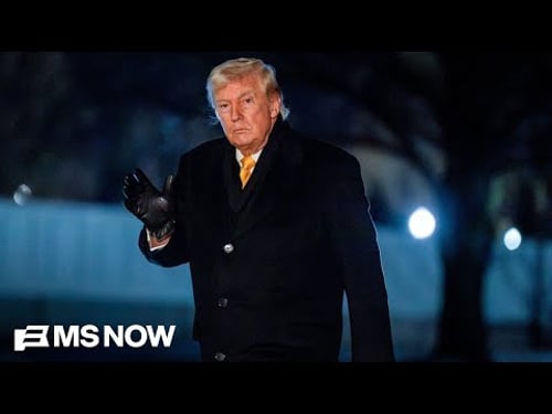 ‘Un-American & outright fascist’: Rep. Goldman rips top Trump immigration officials