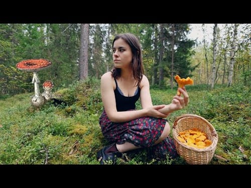 My journey discovering the magic of mushrooms 🍄