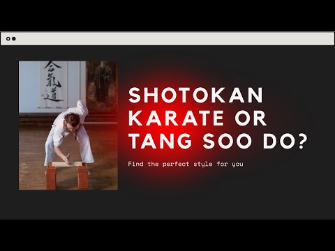 (WATCH NOW) Shotokan Karate v Tang Soo Do: Which is for You?