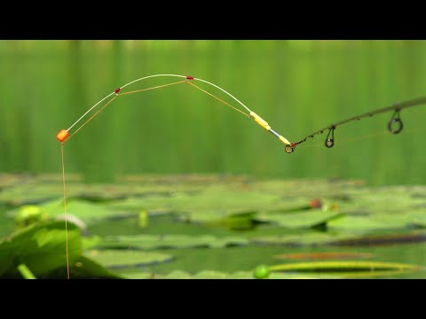 ЗІБРАВСЯ весь КАРАСЬ з БОЛОТА. Рибалка на Боковий кивок. Ловля карася в вечері. Риболовля.