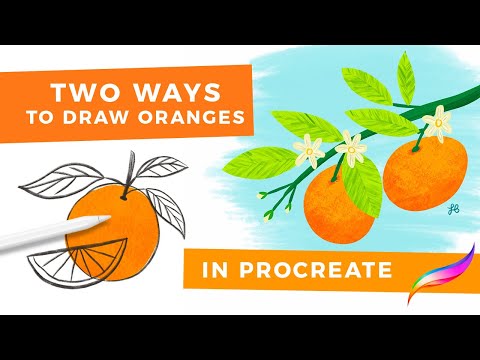 Two Ways to Draw Oranges in Procreate // Intro to Making Art Everyday