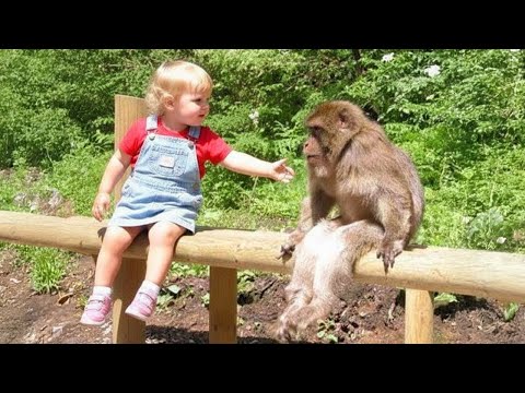 When Your Baby and Animals Make Friends Beyond Boundaries β€οΈ