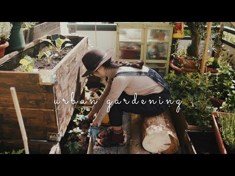 #33 Easiest Way to Make Organic Fertilizer for Your Balcony Garden | Bokashi Compost