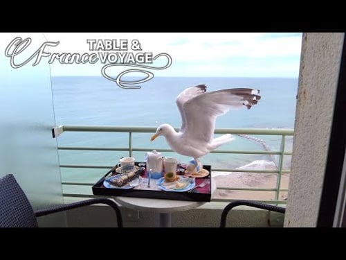 【フランス】ノルマンディー・グランヴィル海辺の街🐬バルコニーで朝食、カモメが襲来/大人ふたり旅/Relax散歩