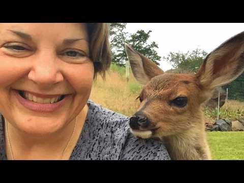 The Moment Animal Choose To Trust You 🤣 Cute Animal Videos 2025