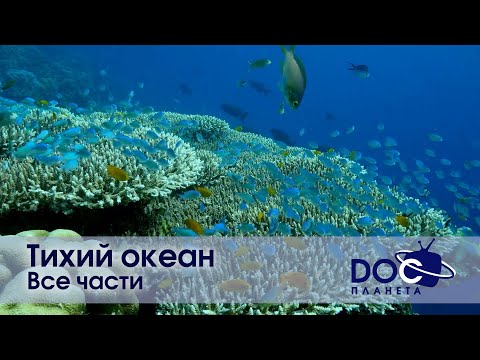 Тихий океан. Все части - Документальный фильм