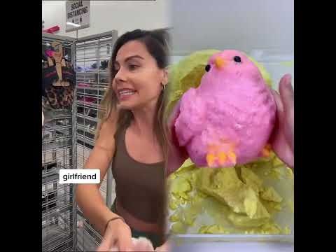 🤣👌👌👌2026 pov Must-Watch Crazy Clips Compilation #humor #fypシ #pov #fyp #foryou 😍😜